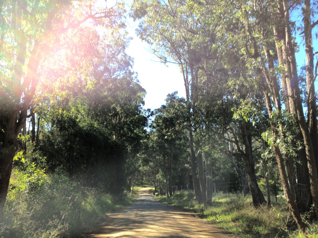 Unsealed roads along Scenic Route 33,  The Wollombi Trail